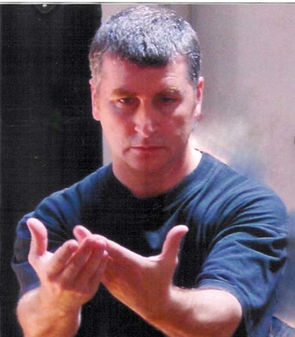 Taiji quan delle sintesi